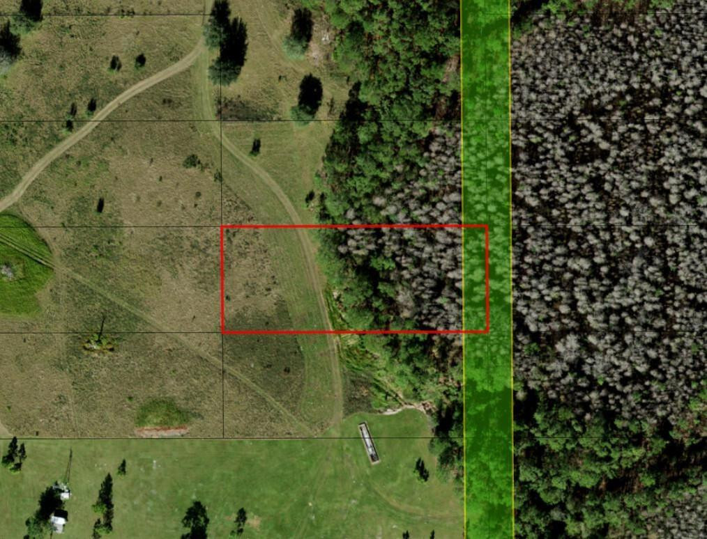 Opp117 Orlando Pines - Land