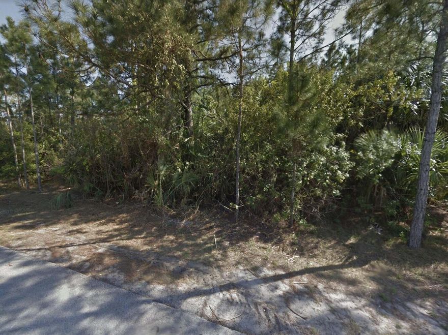 1/4 Acre lot ready to be cleared and built on. Make your new home here