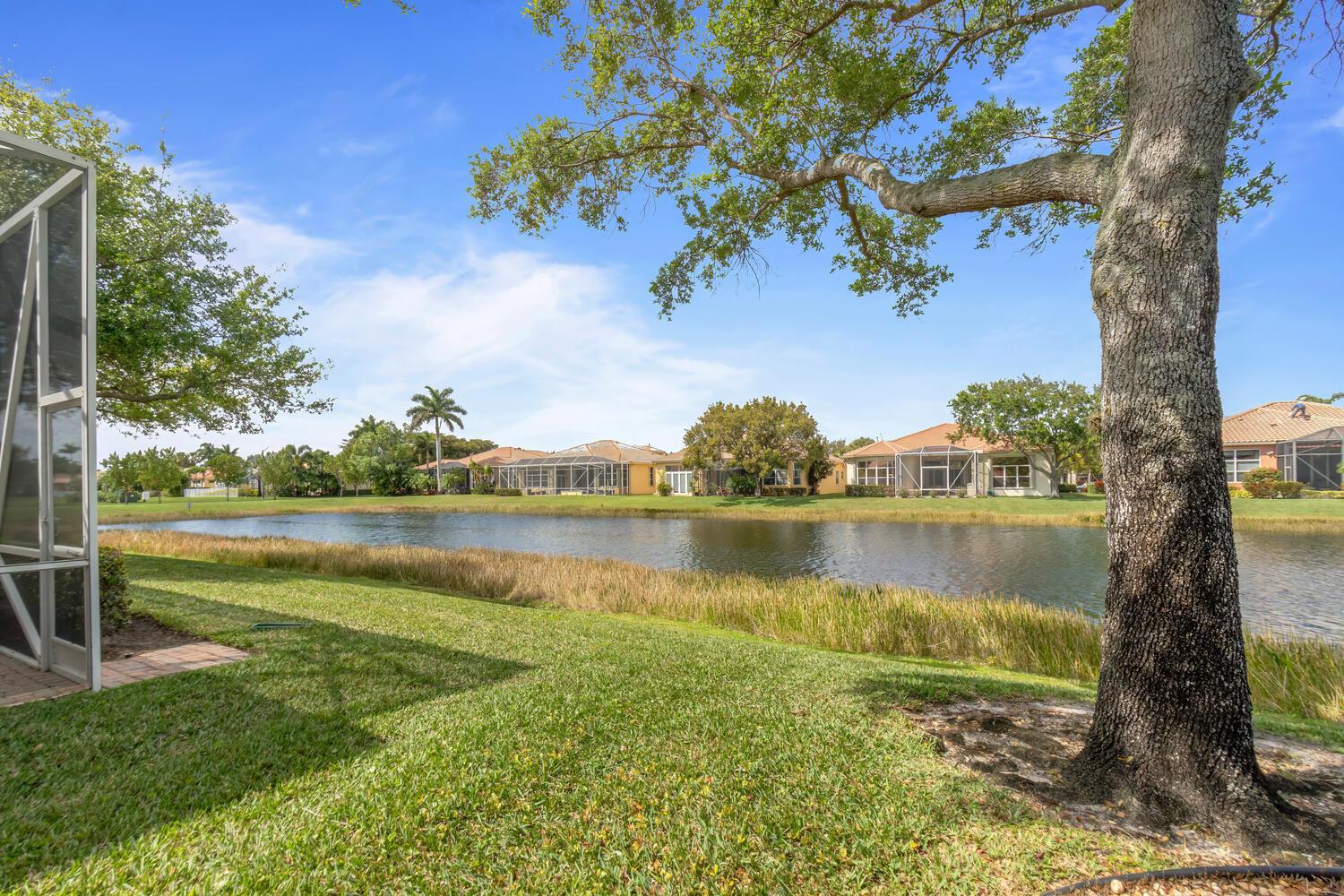 BUENA VIDA - Residential