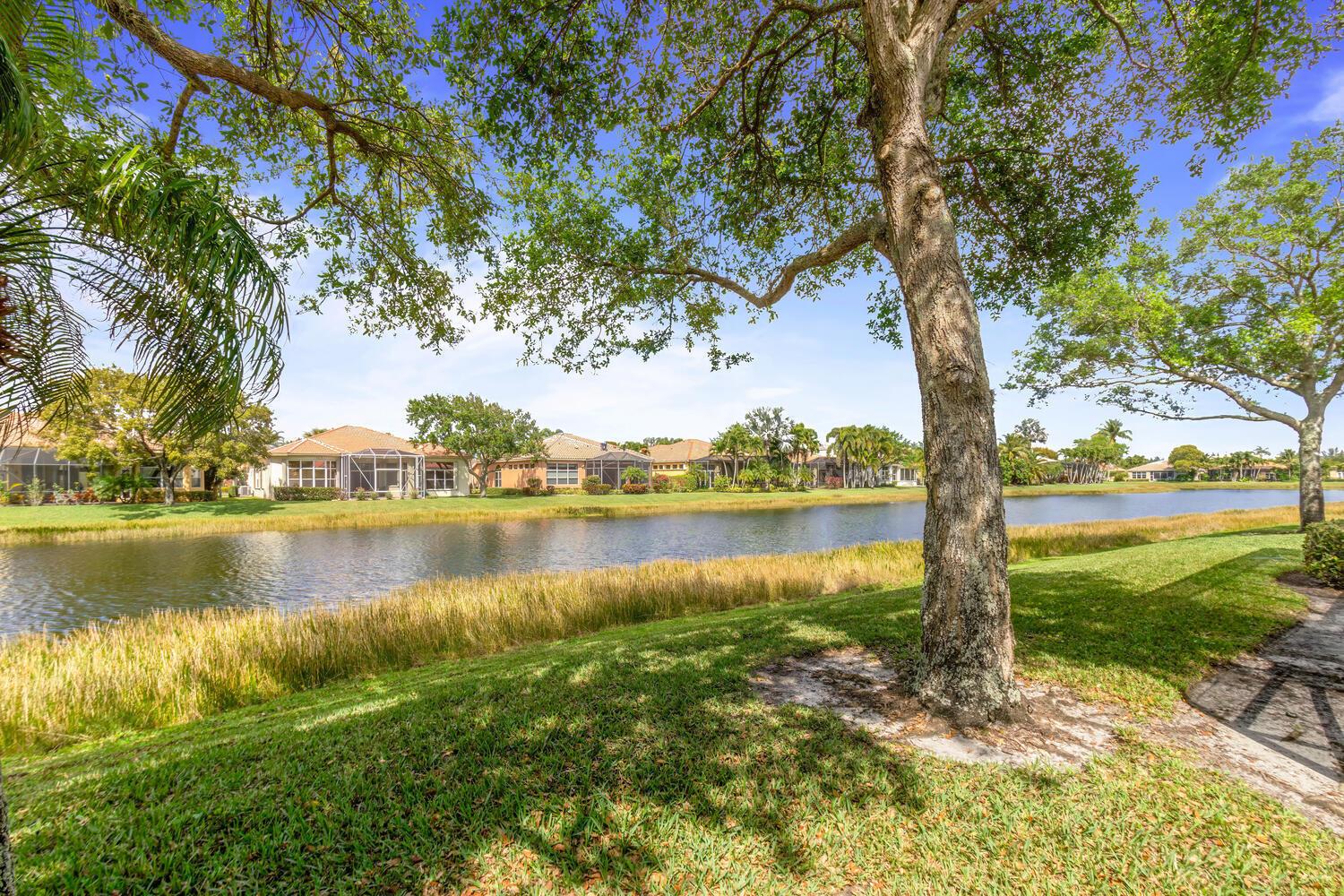 BUENA VIDA - Residential