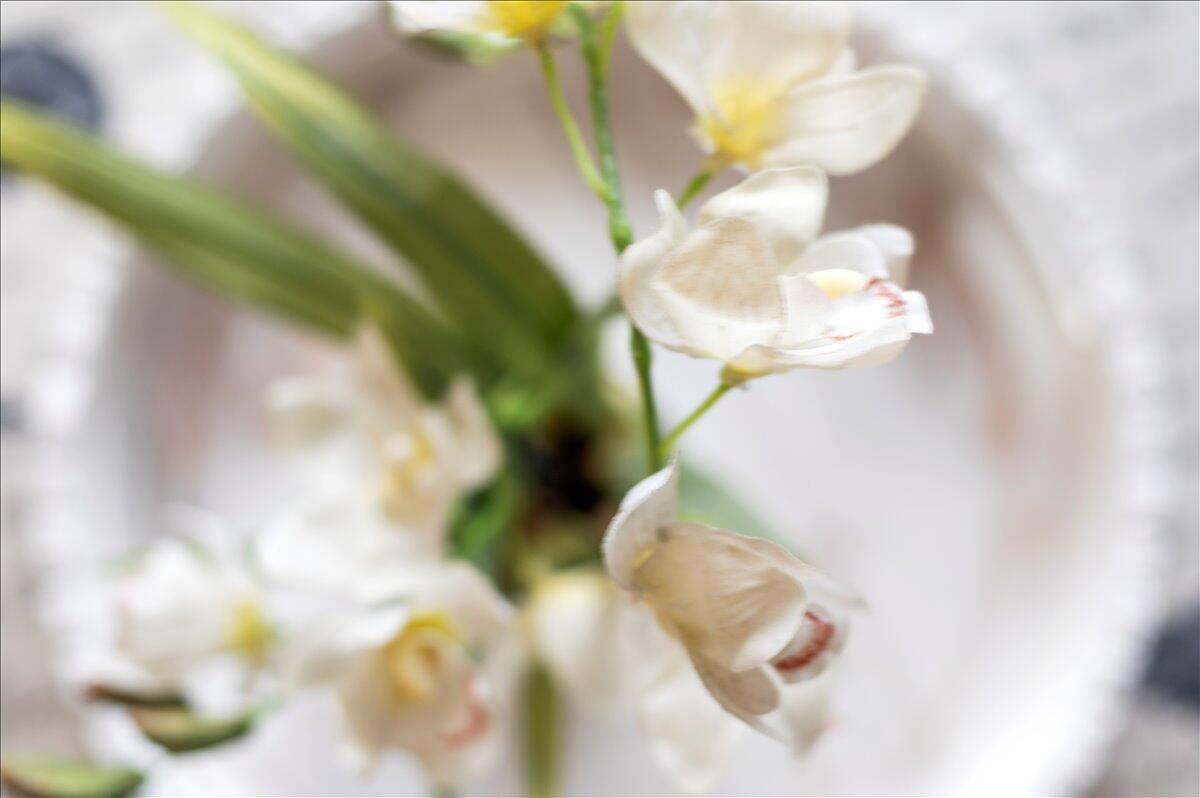 SEA RISE CONDO - Residential Lease