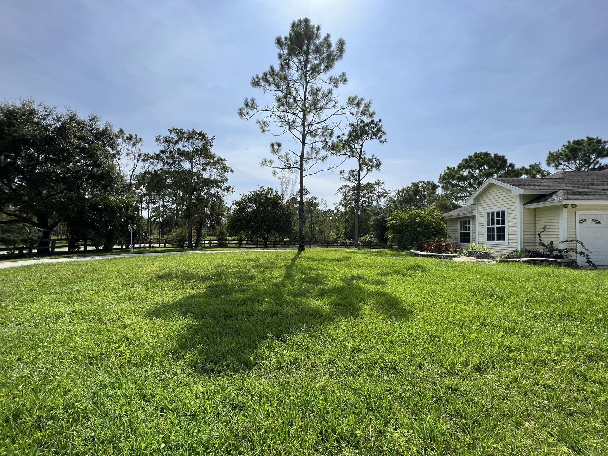 HOMELAND - Residential