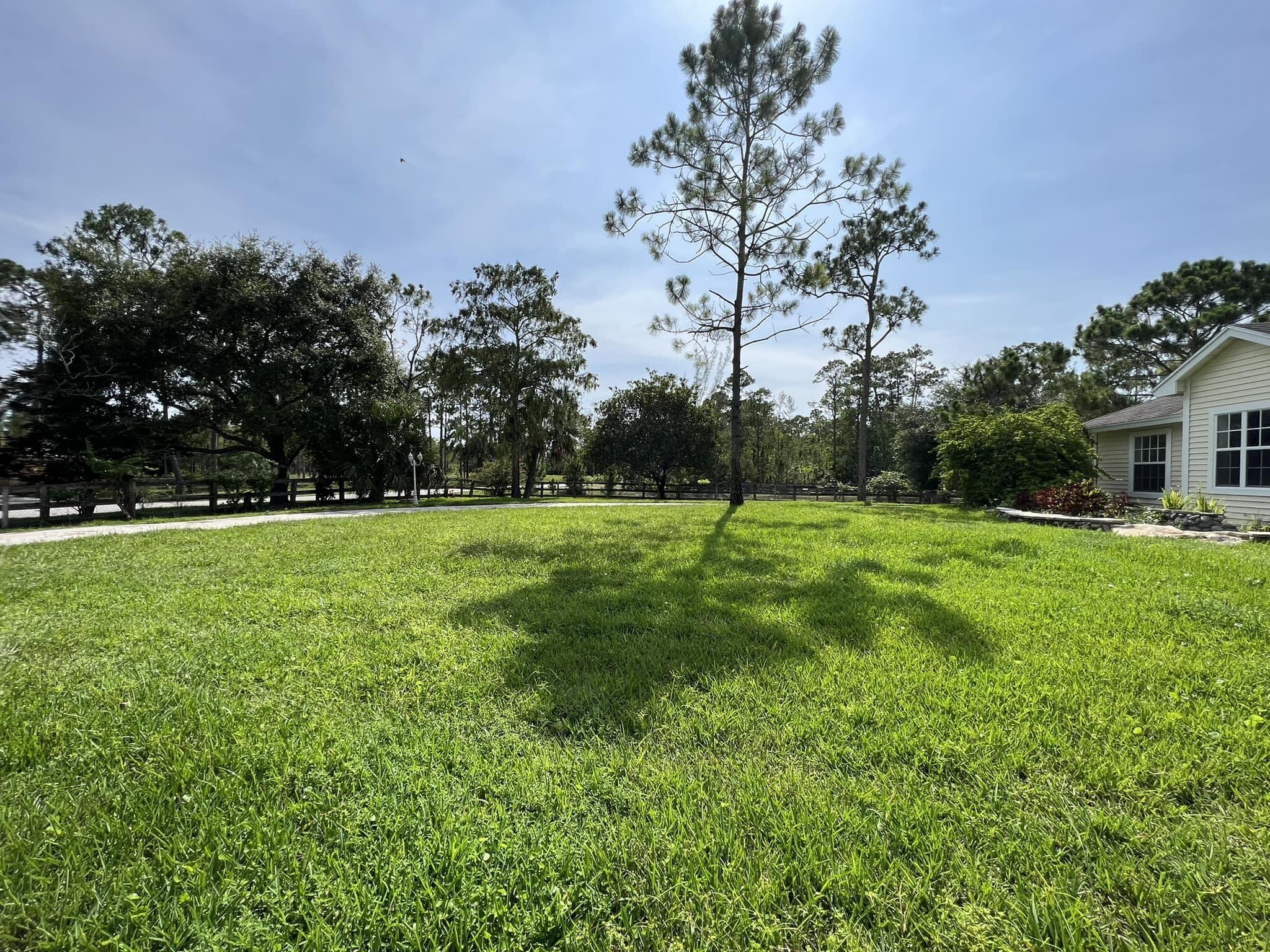 HOMELAND - Residential