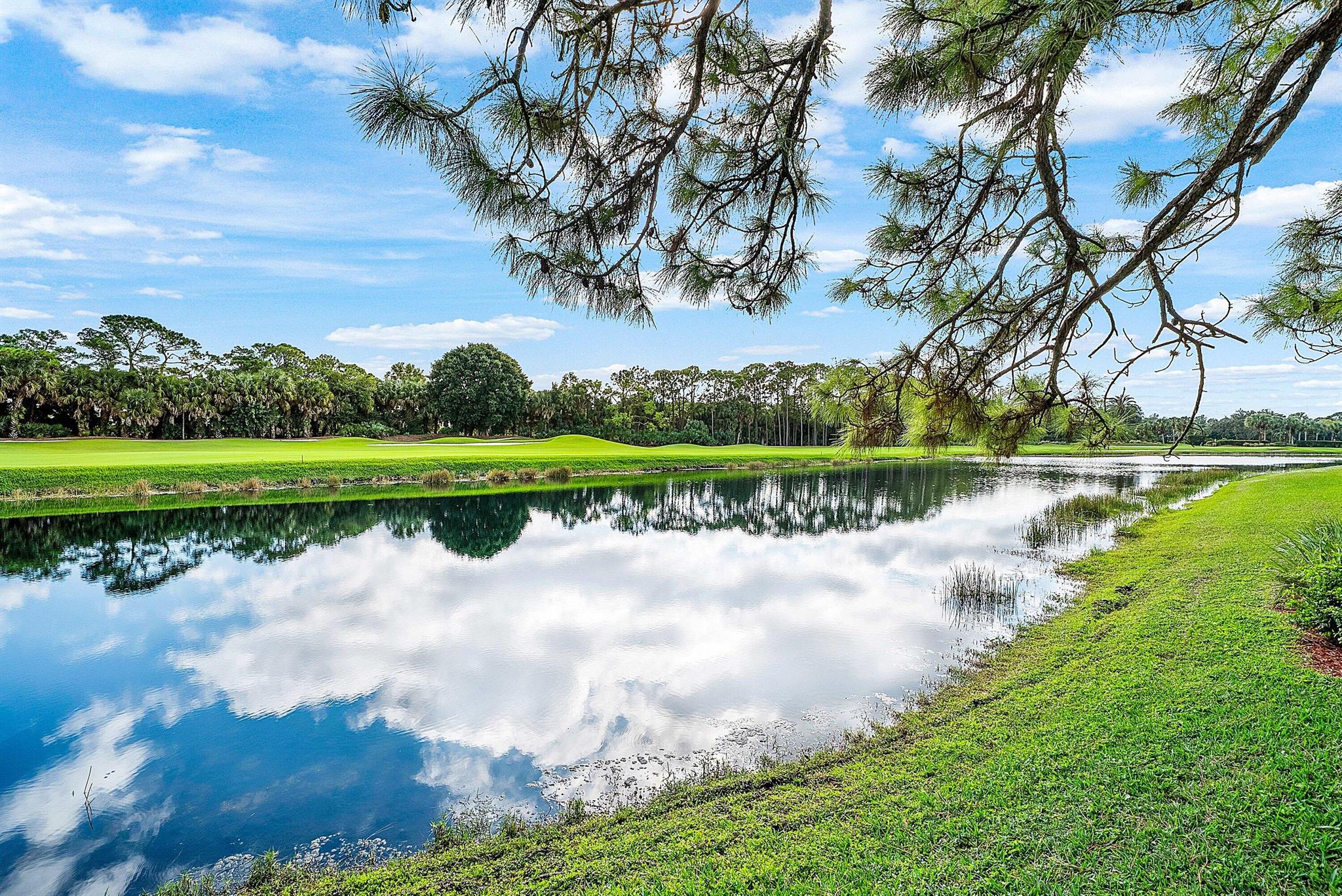 OLD MARSH GOLF CLUB - Residential