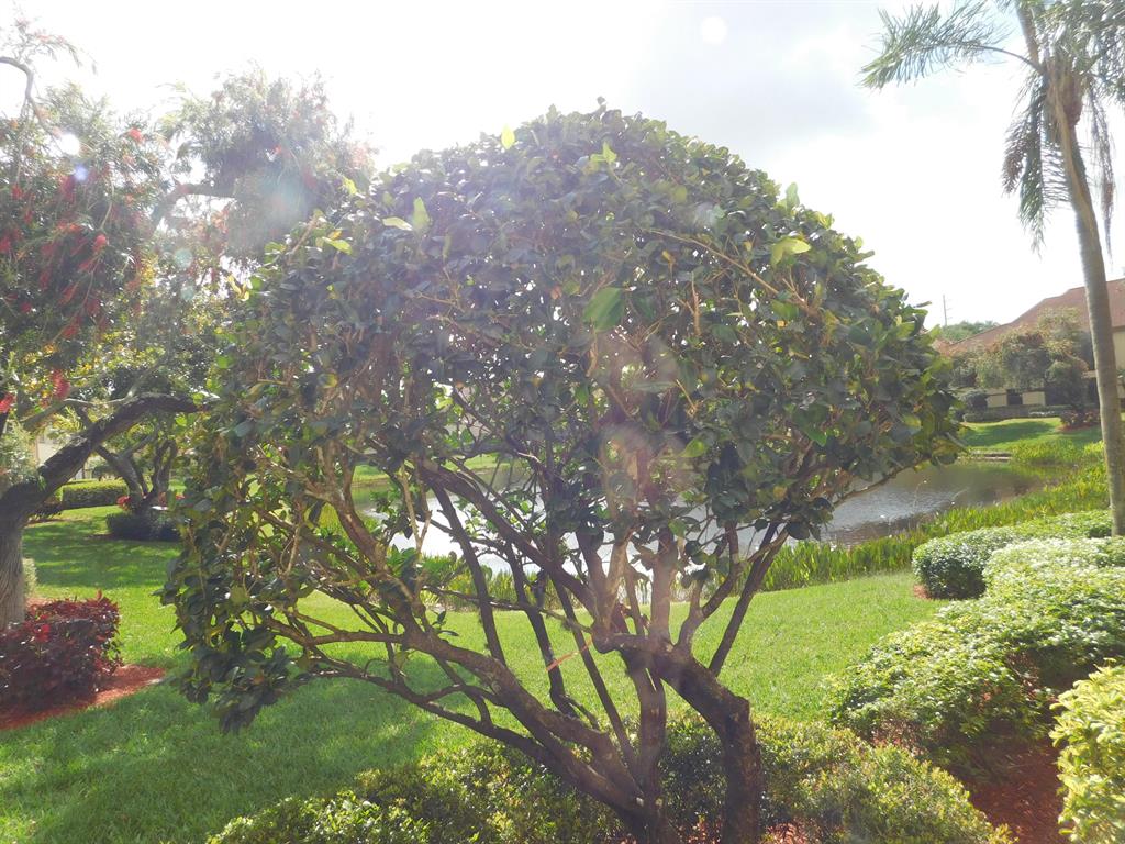 PLATINA - Residential