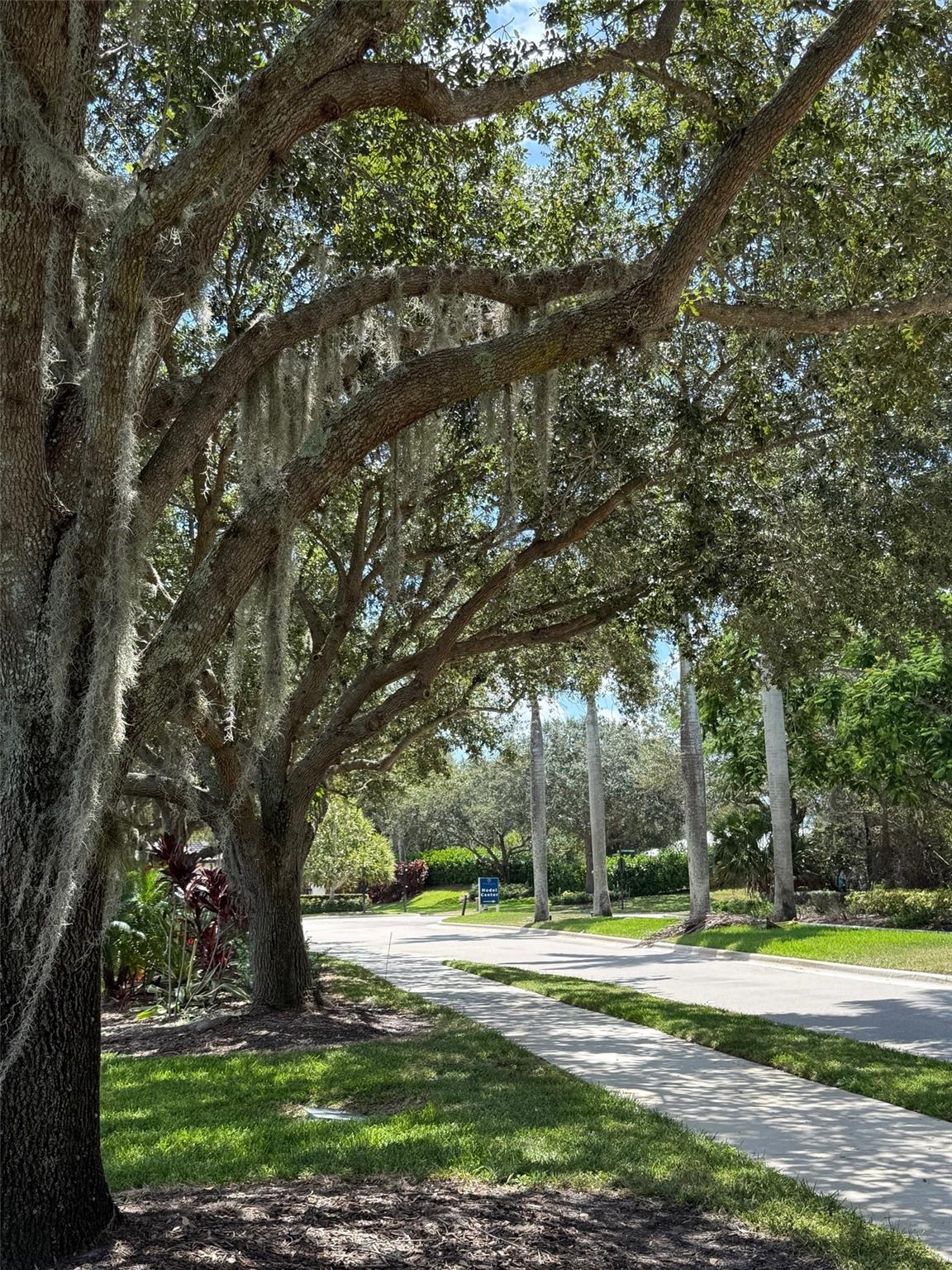 Tesoro Preserve 02 - Residential Lease