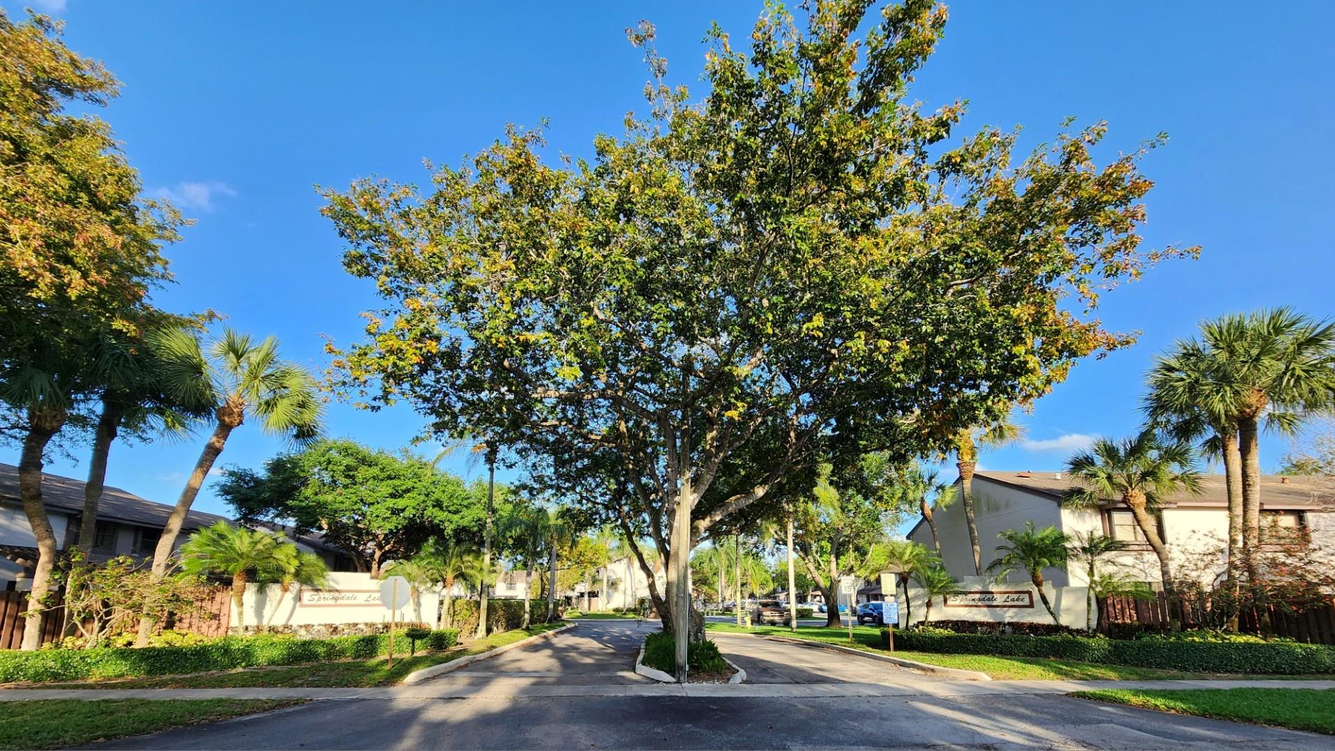SPRINGDALE LAKE - Residential