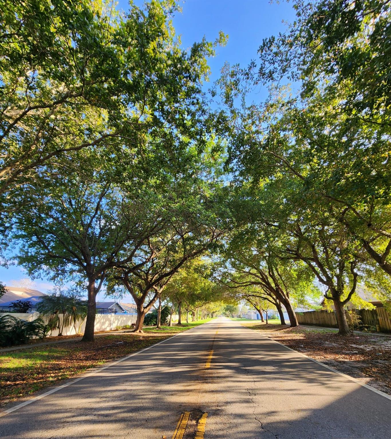 SPRINGDALE LAKE - Residential