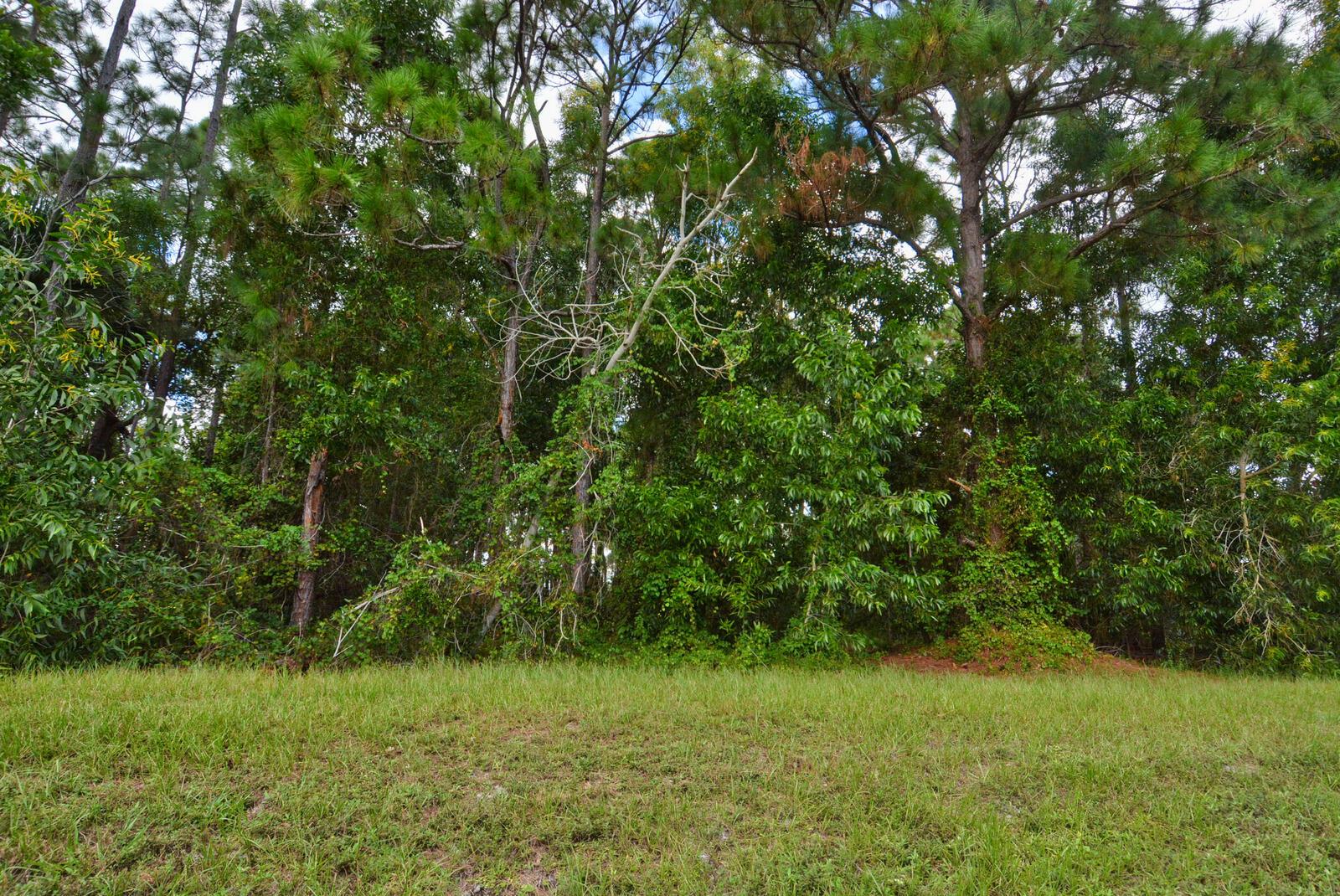 PORT ST LUCIE SECTION 48 - Land