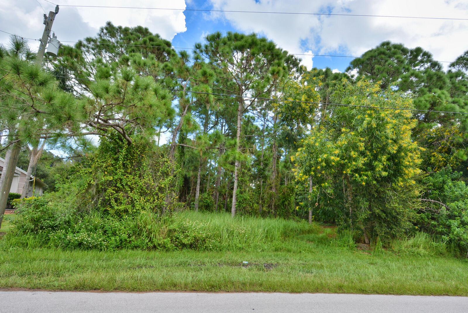 PORT ST LUCIE SECTION 48 - Land