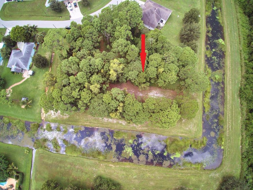 Discover this beautiful 0.41-acre lot nestled in one of Port St. Lucie's most sought-after neighborhoods.  Located in the desirable Torino/St. James area, this oversized parcel offers plenty of space for your custom-built home, pool and outdoor living, this lot is naturally wooded, giving you privacy and the opportunity to design your own lush landscape.Enjoy the quiet, residential setting while being just minutes from shopping, dining, golf, parks and easy access to I-95 and the Florida Turnpike, With no HOA restrictions, you'll have the freedom to create the lifestyle you've always wanted>