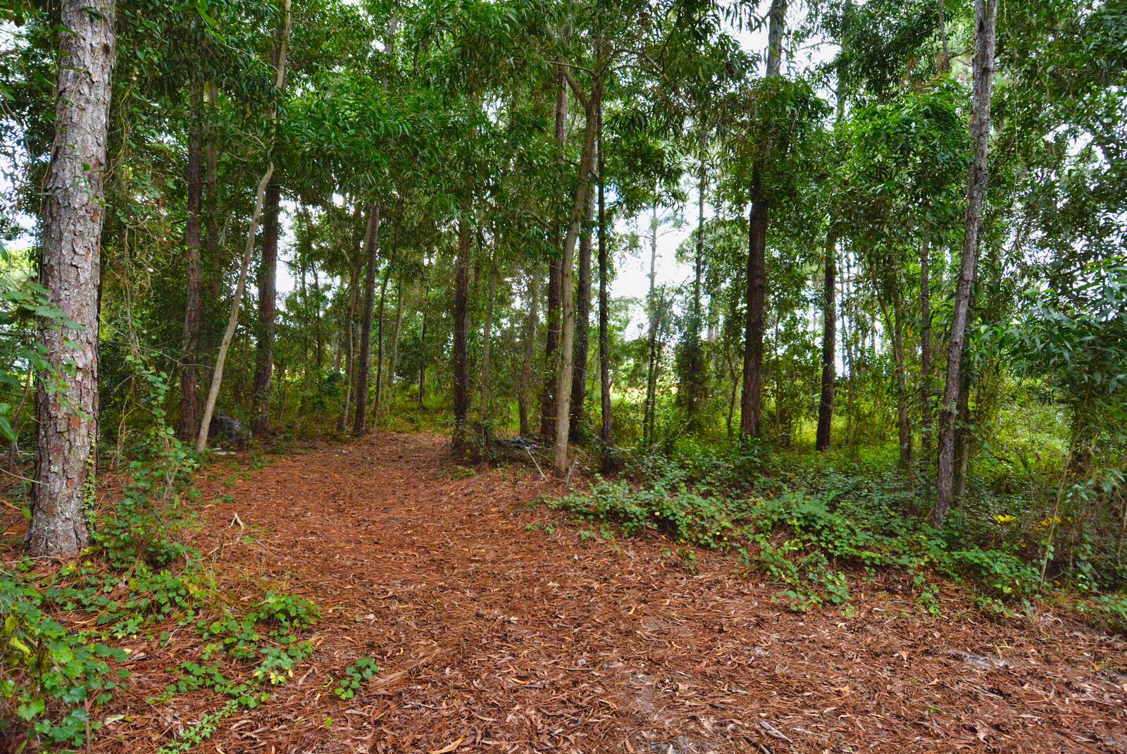 PORT ST LUCIE SECTION 48 - Land