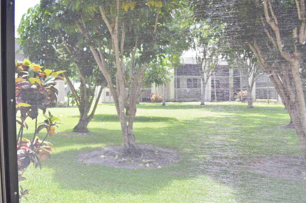 LAS VERDES / OLIVE LEAF CONDO - Residential