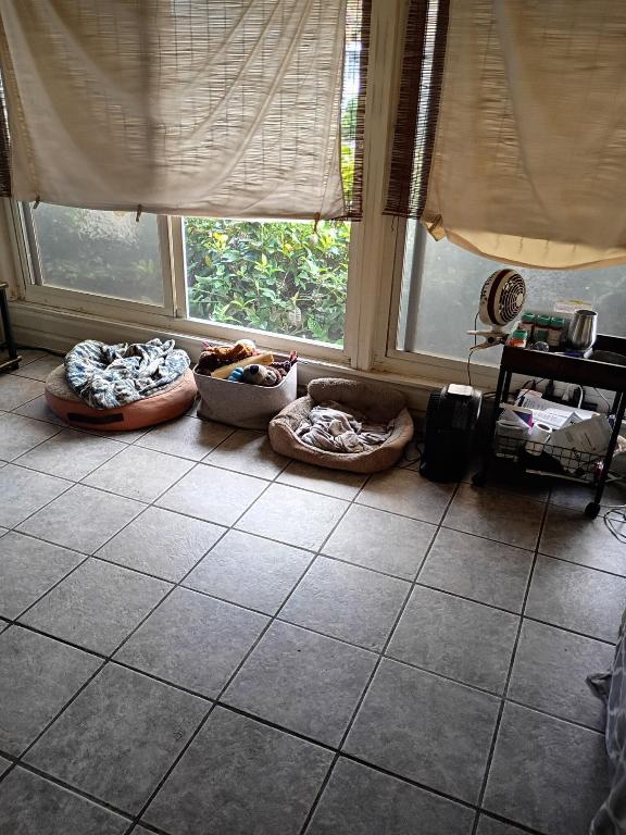 TALLOWWOOD ISLE - Residential