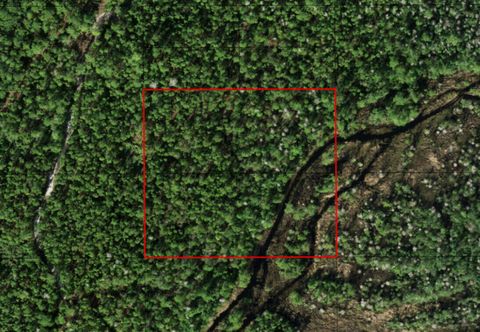 0 Holopaw Groves Road St Cloud FL 34772