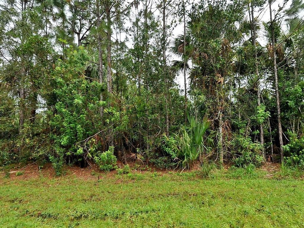 Photo of 1873 SW Glenco Street, Port Saint Lucie, FL 34953 (MLS # R10782909)