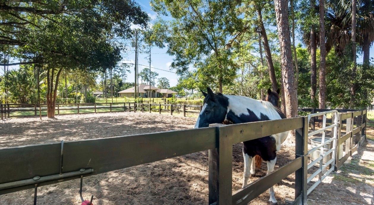 Acreage - Residential