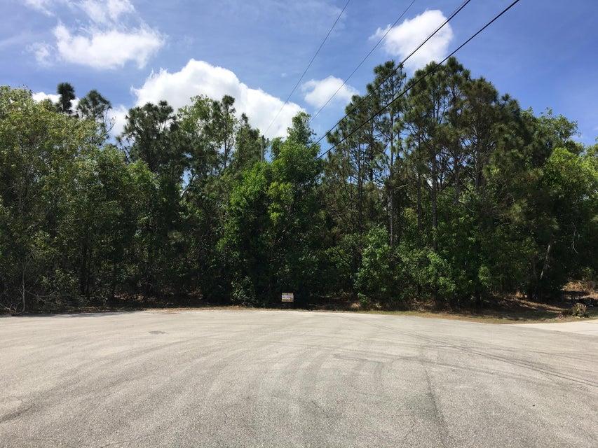 BUILD YOUR DREAM HOME HERE! CUL-DE-SAC LOT SURROUNDED WITH BEAUTIFUL HOMES AND ALL THE PRIVACY YOU COULD ASK FOR. BACKED TO A PRESERVE WITH CANAL IN REAR. A VACANT LOT ON LEFT SIDE AND VACANT LOT ON THE RIGHT THAT WILL NOT BE BUILT ON. DON'T MISS THE CHANCE TO BUILD YOUR DREAM HOME IN ONE OF THE MOST SOUGHT OUT (NO HOA) COMMUNITIES IN PORT ST. LUCIE...TORINO PARKWAY.