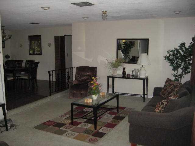 HOLLYWOOD HILLS - Residential