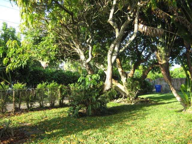 HOLLYWOOD HILLS - Residential