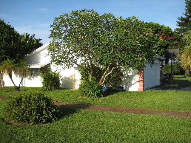 HOLLYWOOD HILLS - Residential