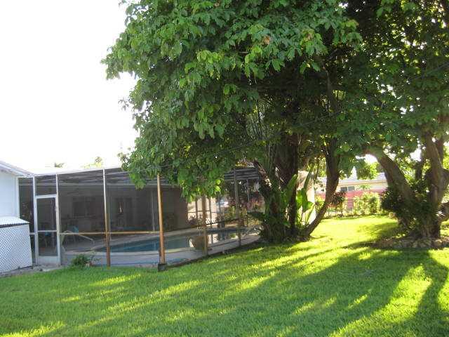 HOLLYWOOD HILLS - Residential