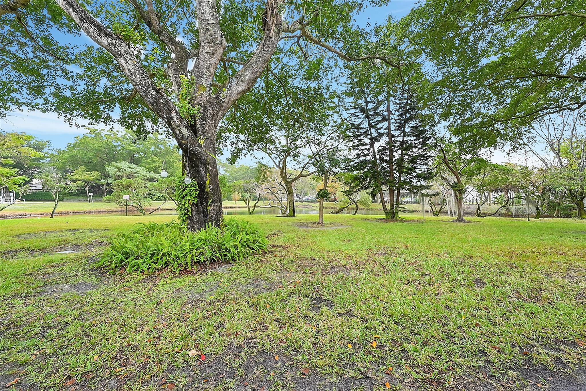 Chatham Towne - Residential