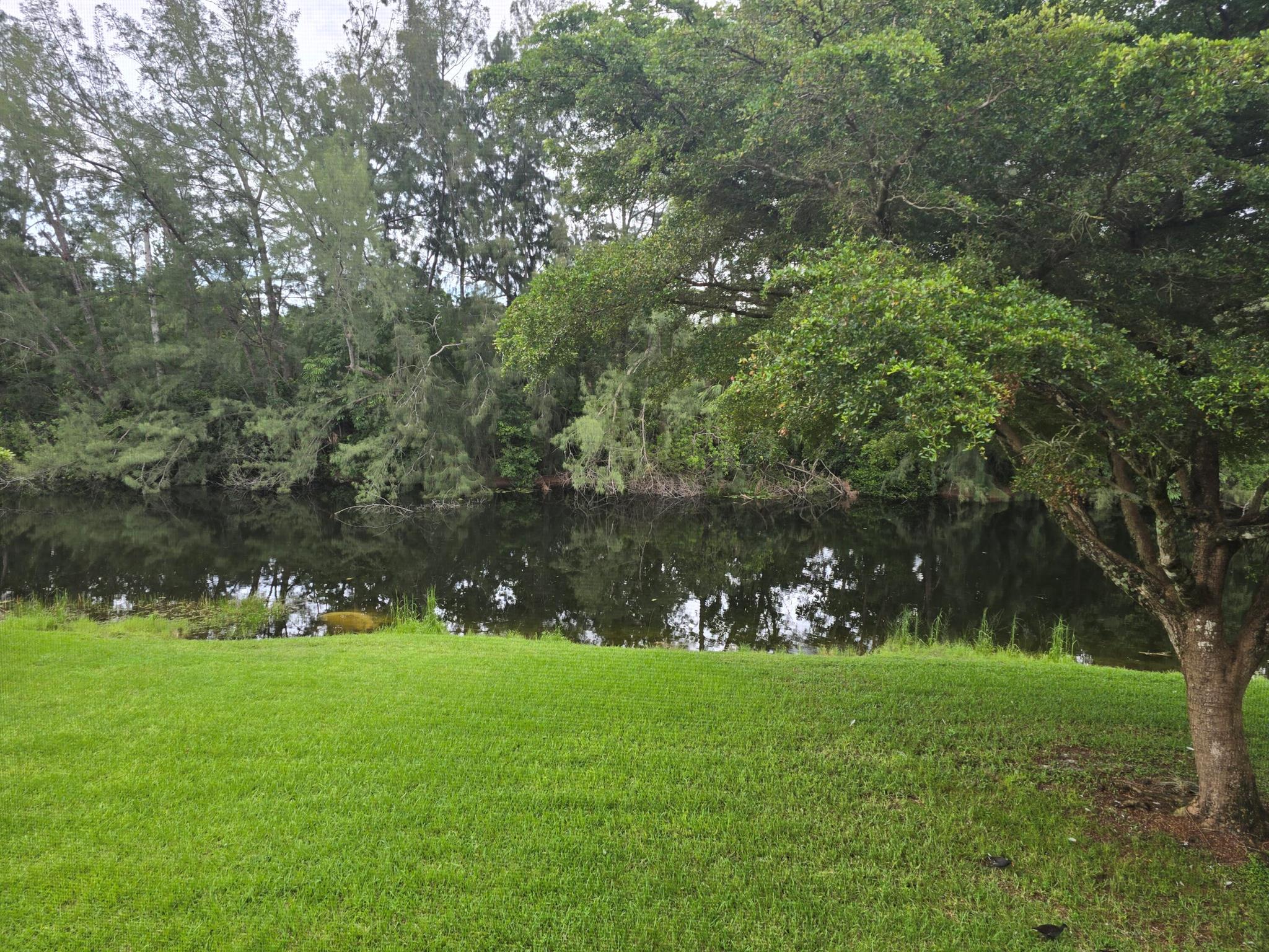 140 Lake Meryl Drive 233
