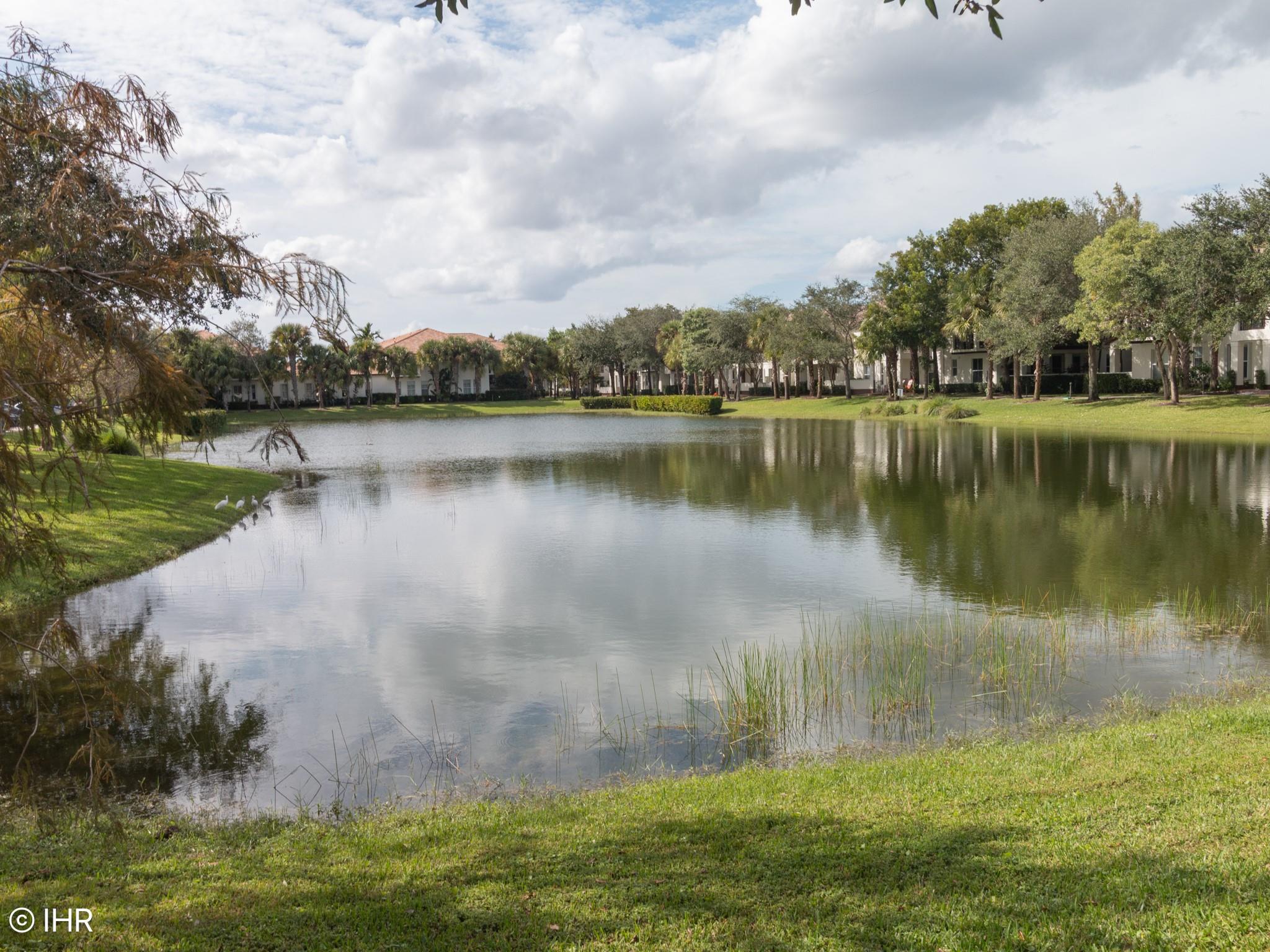 Paloma Lakes - Residential