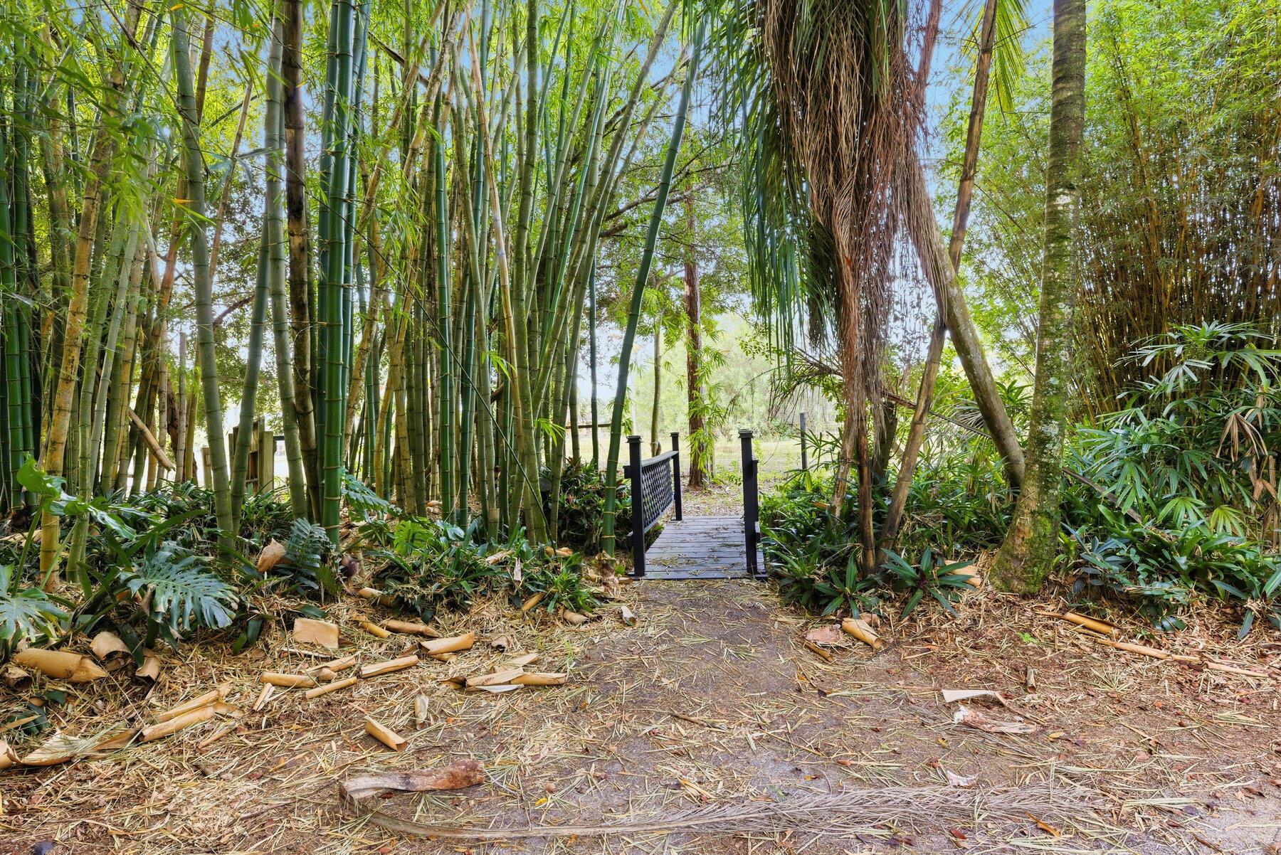 The Acreage - Residential