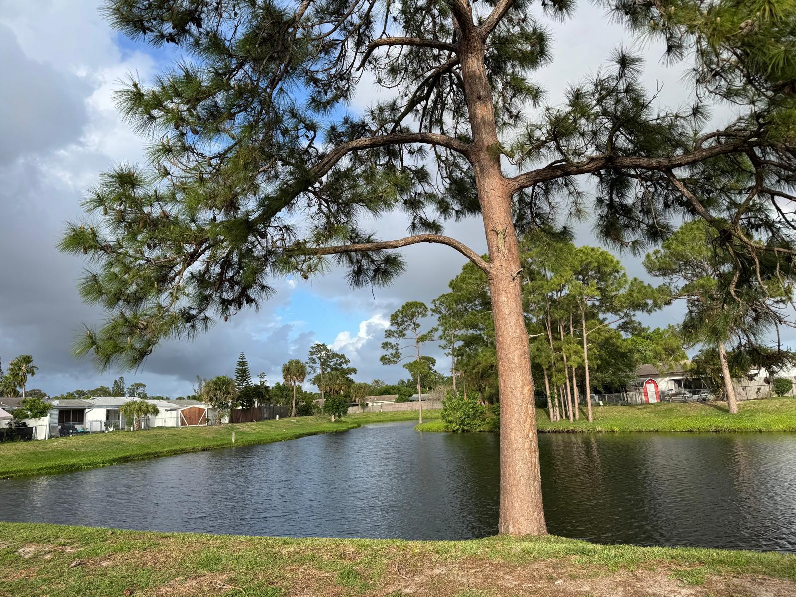 CANNONGATE PL 1A - Residential