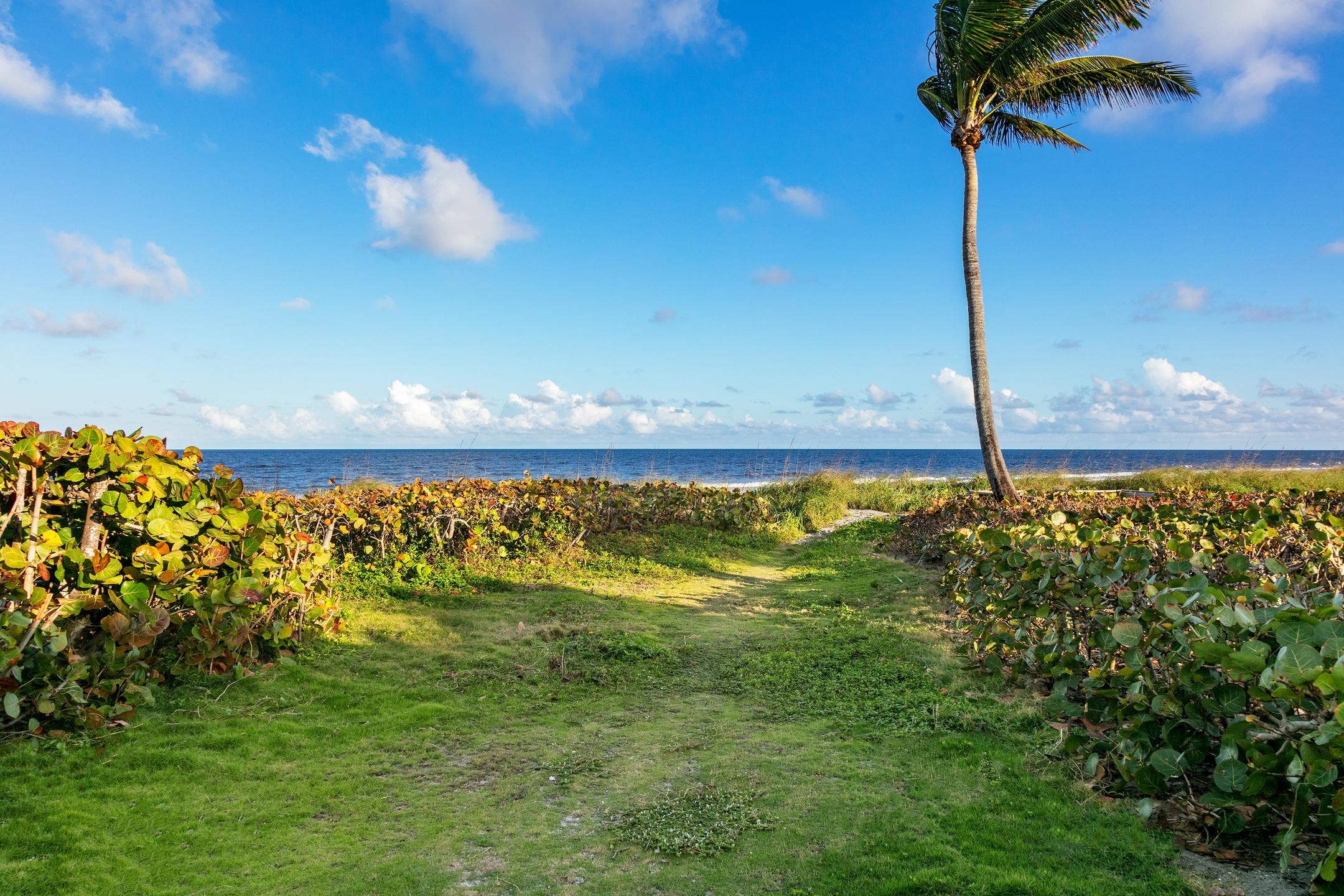 JUPITER ISLAND - Residential