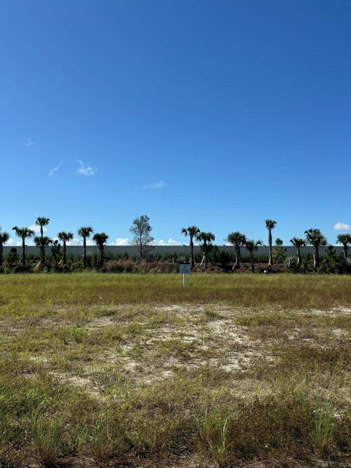 PANTHER NATIONAL AT AVENI - Land