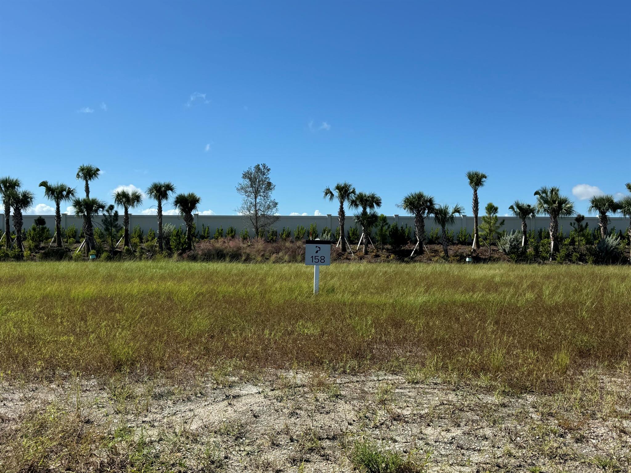 PANTHER NATIONAL AT AVENI - Land