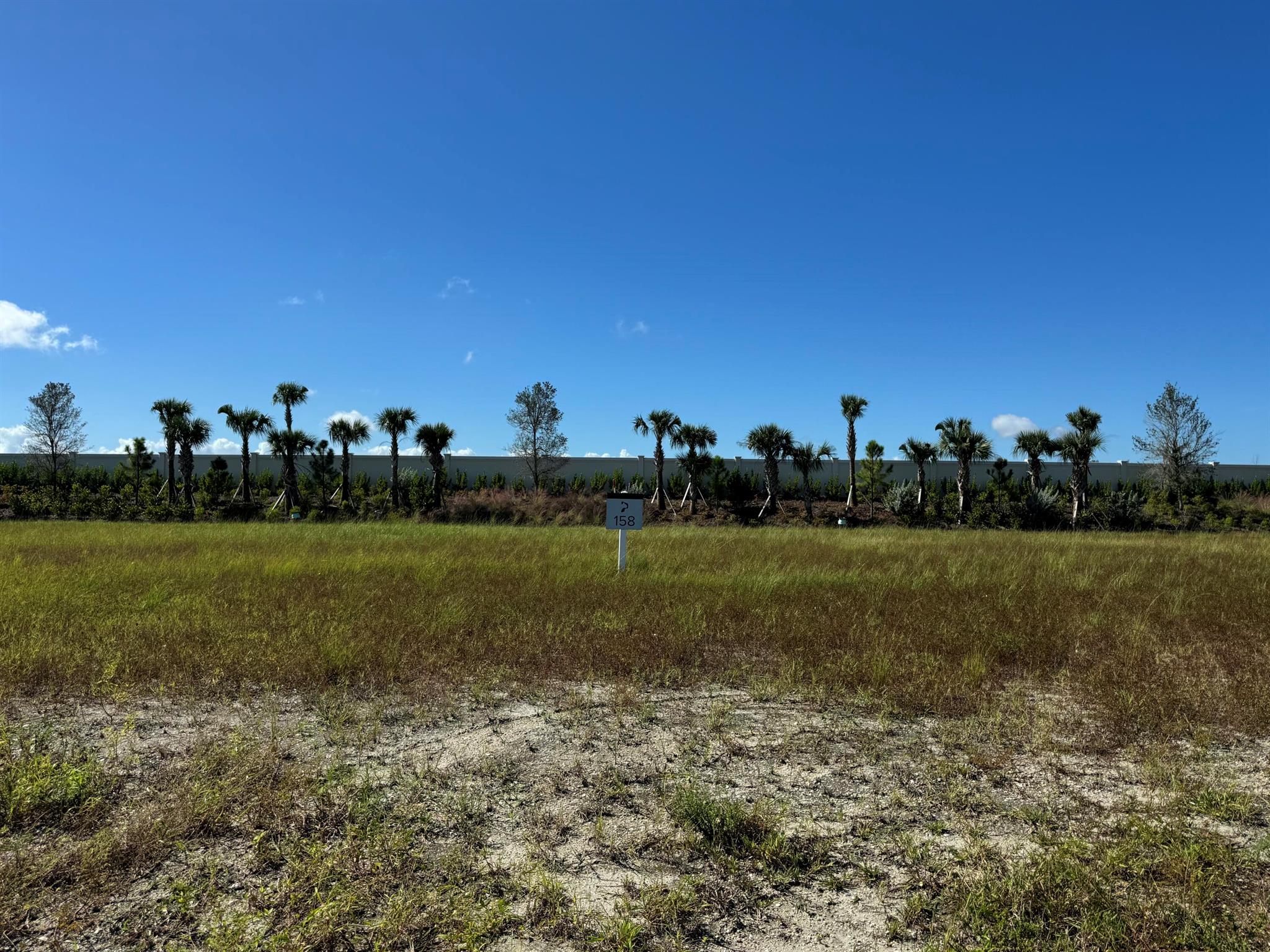 PANTHER NATIONAL AT AVENI - Land