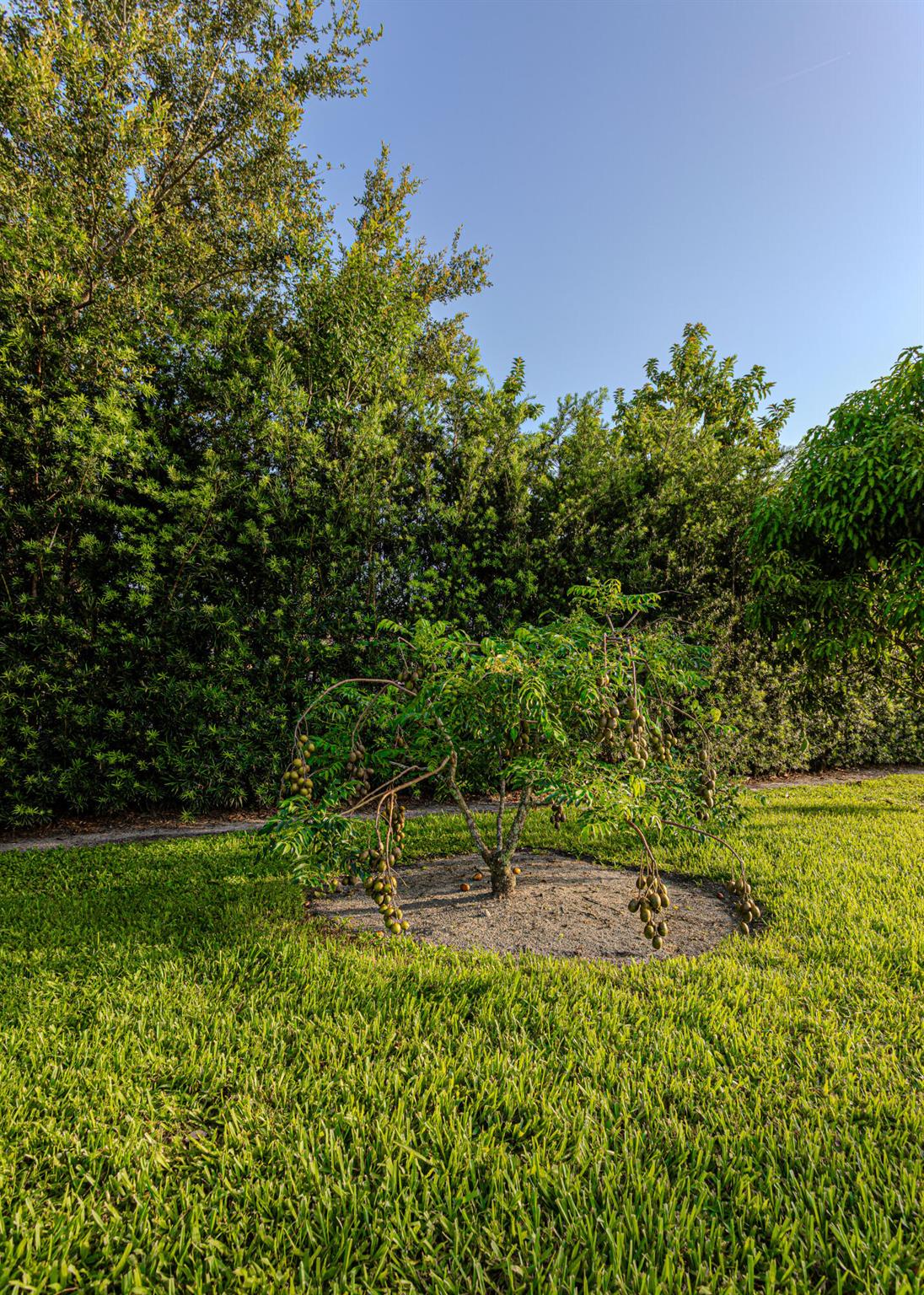 PLANTATION NEIGHBORS PLAT - Residential