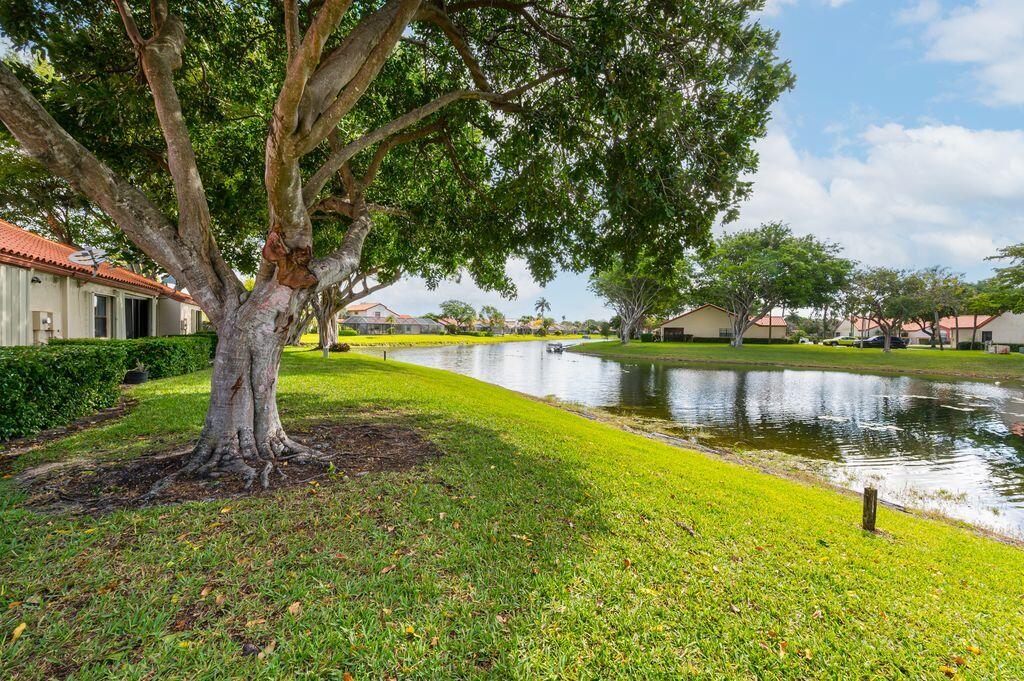ANGLO-AMERICAN PLAT TWO - Residential Lease
