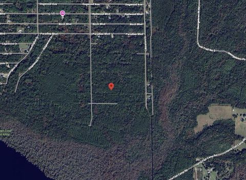 214 Garrison Avenue Georgetown FL 32139