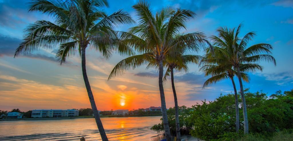 OSCEOLA WOODS - Residential Lease