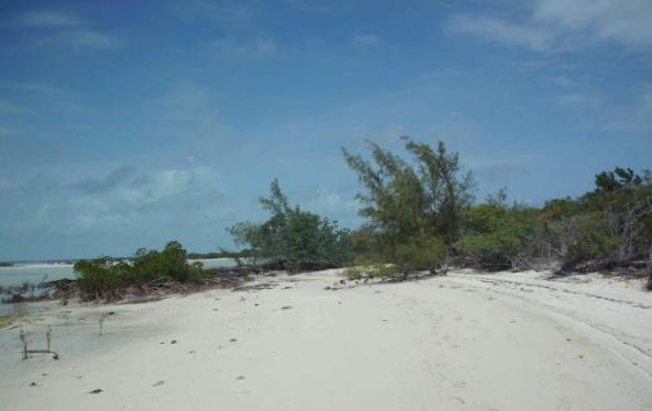 FRAZIER HOG CAY - Residential