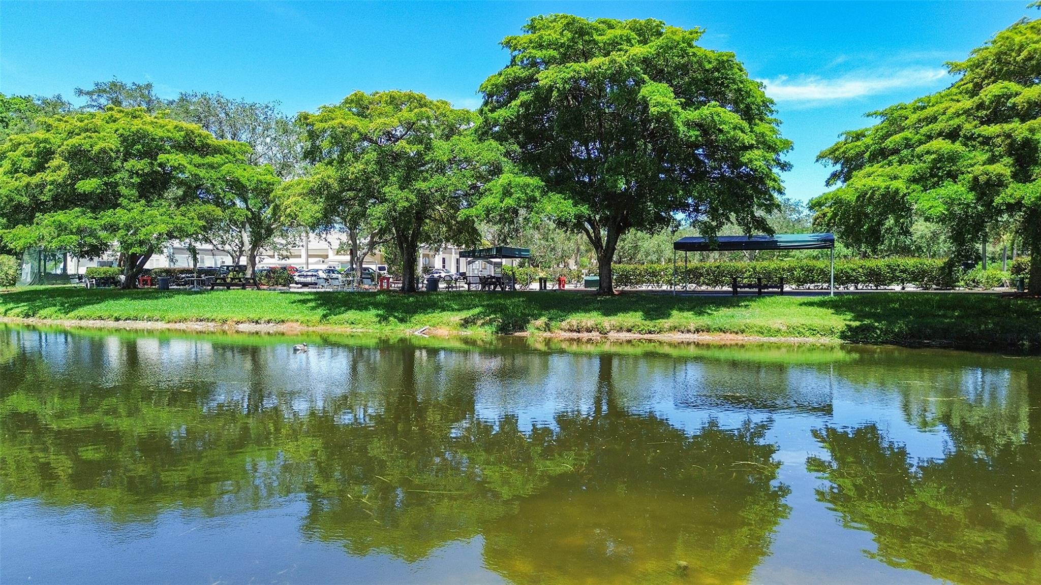 WYNMOOR VILLAGE - Residential