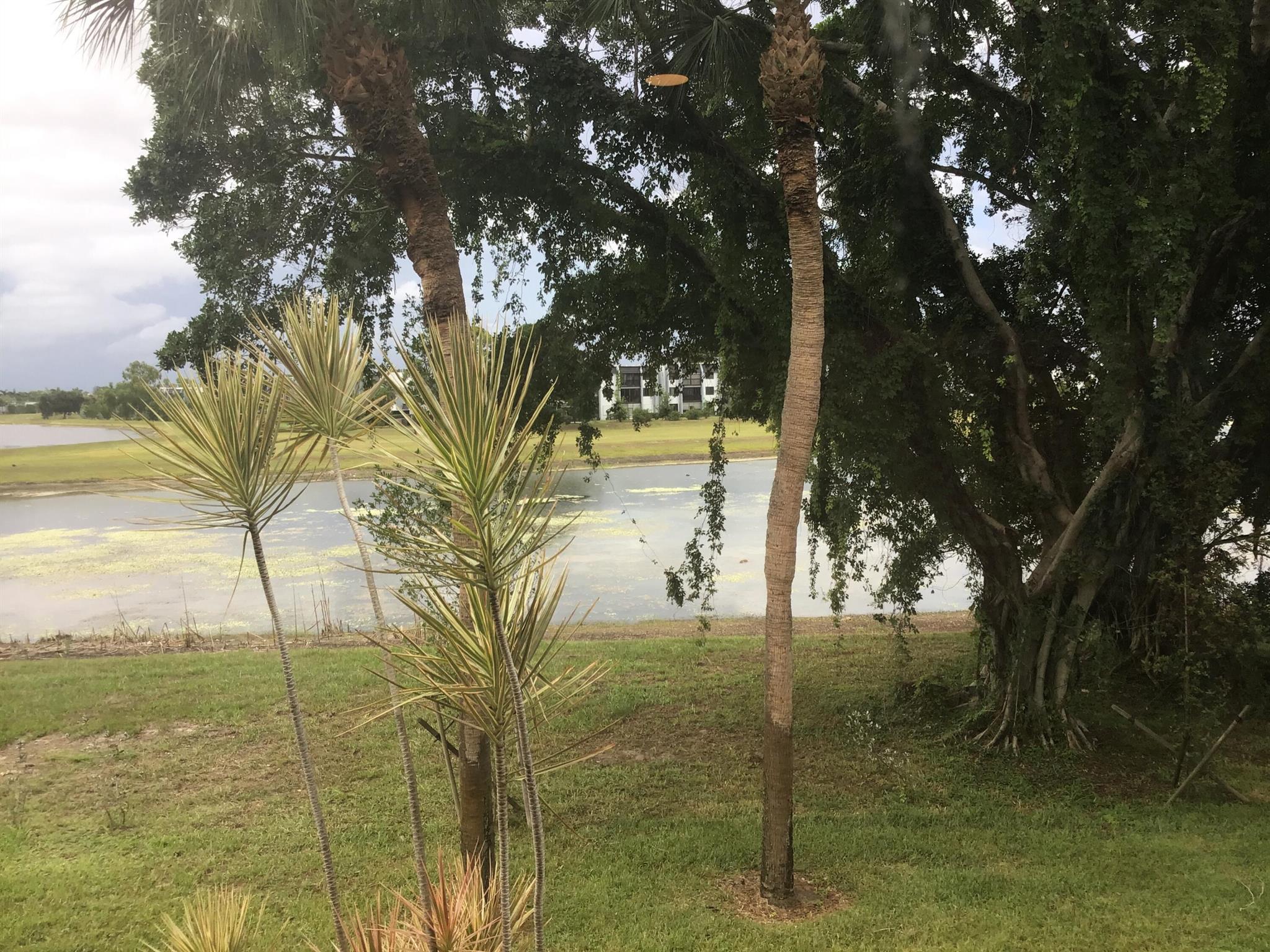 4822 Esedra Court 207