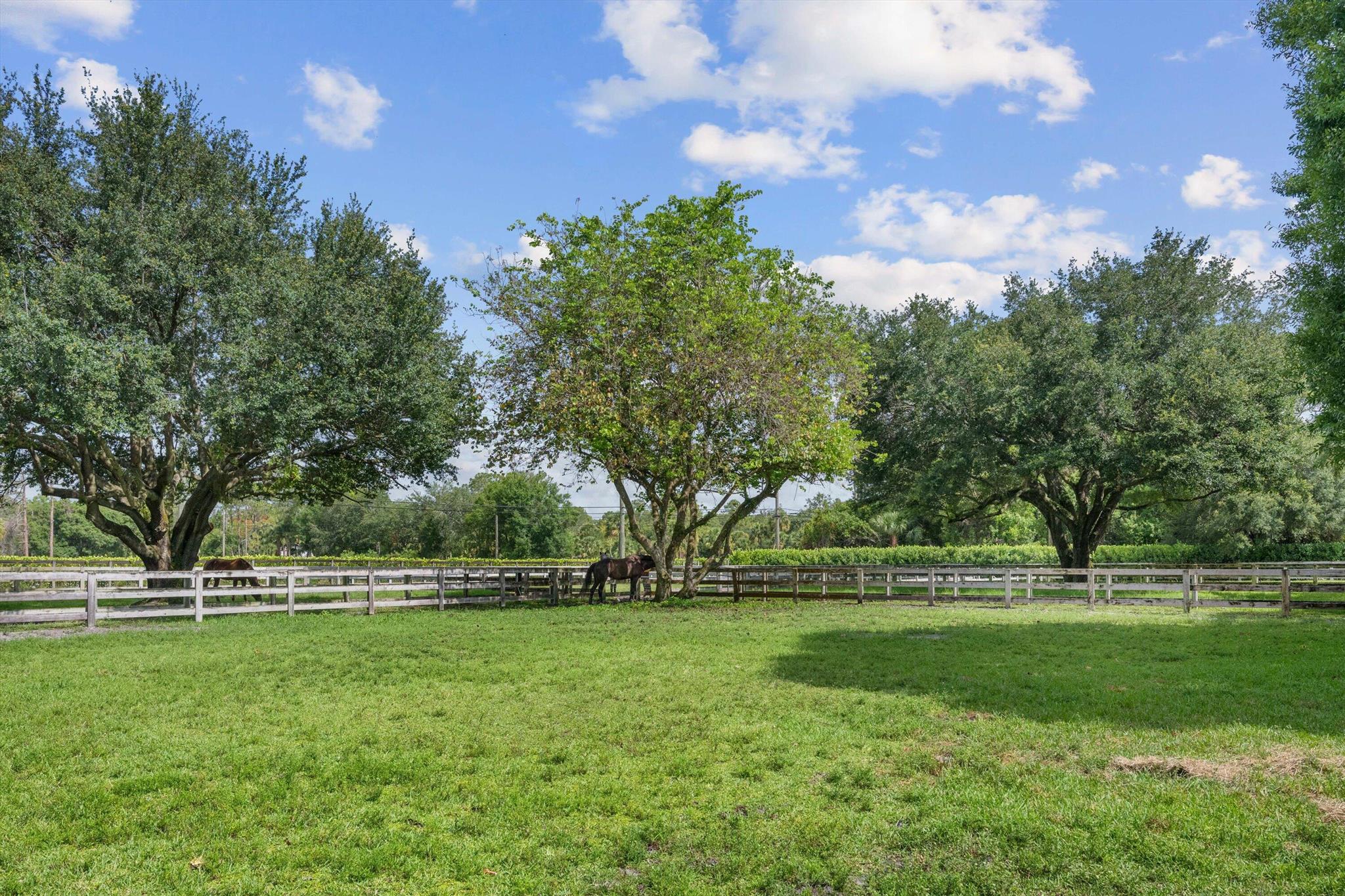 3442 C Road