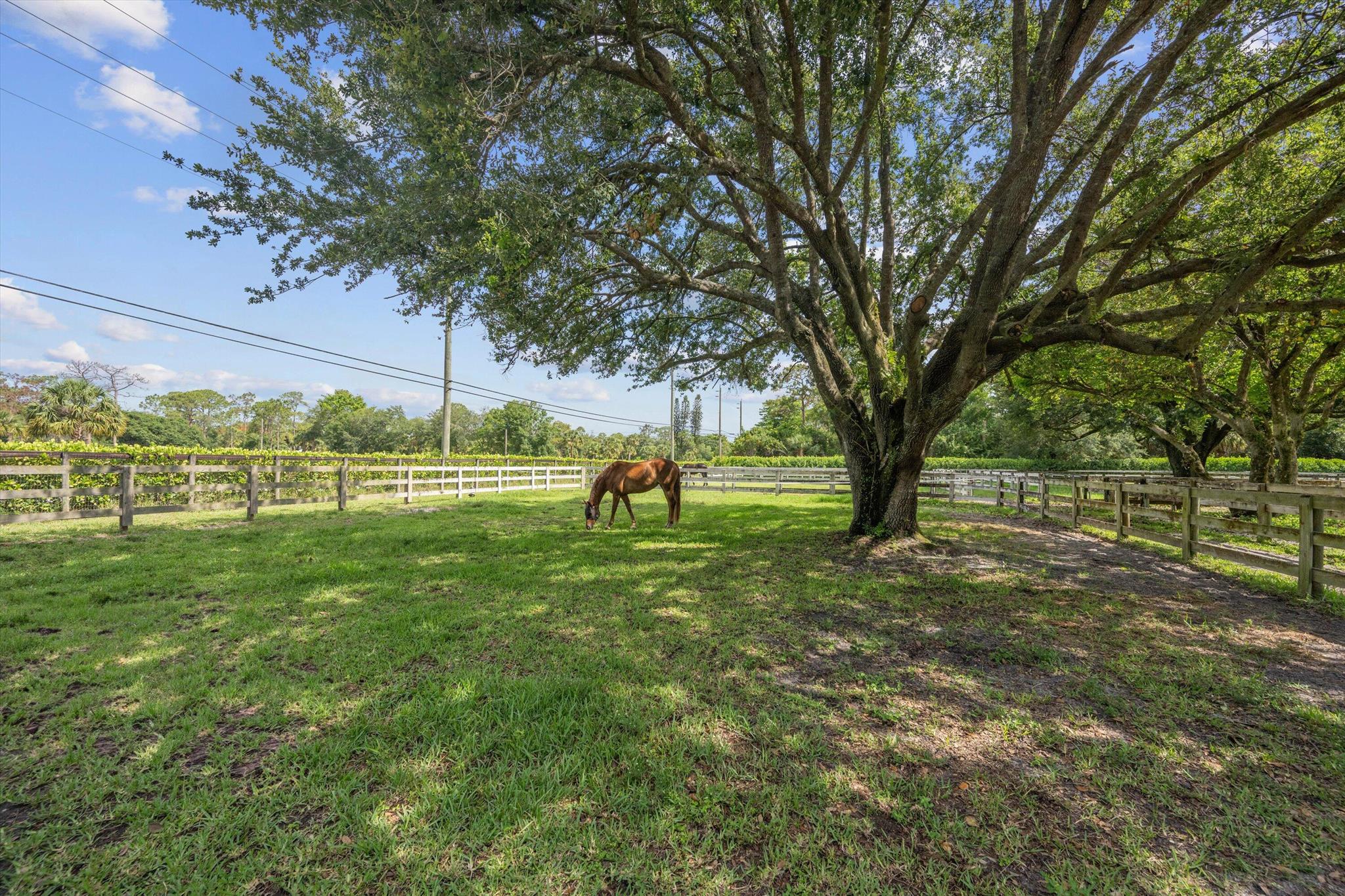 3442 C Road