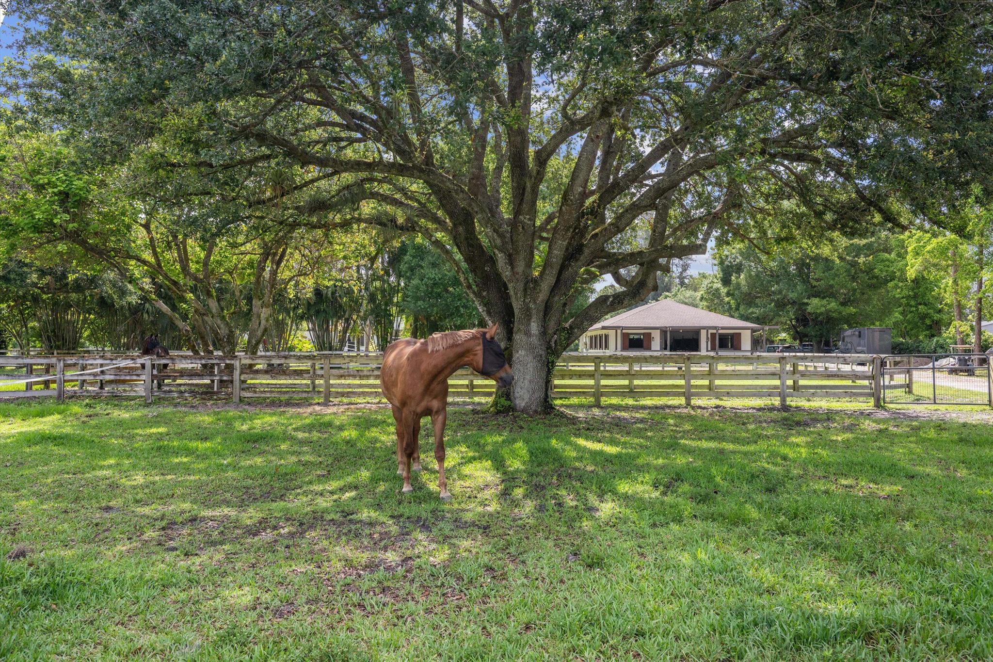 LOXAHATCHEE GROVES - Residential