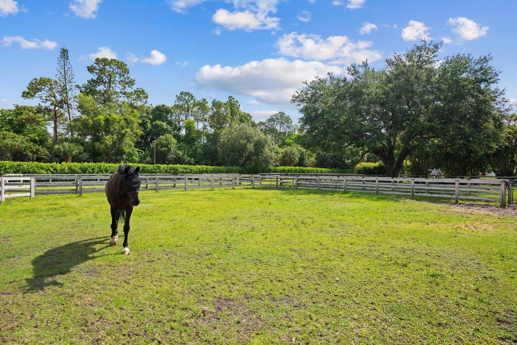 LOXAHATCHEE GROVES - Residential