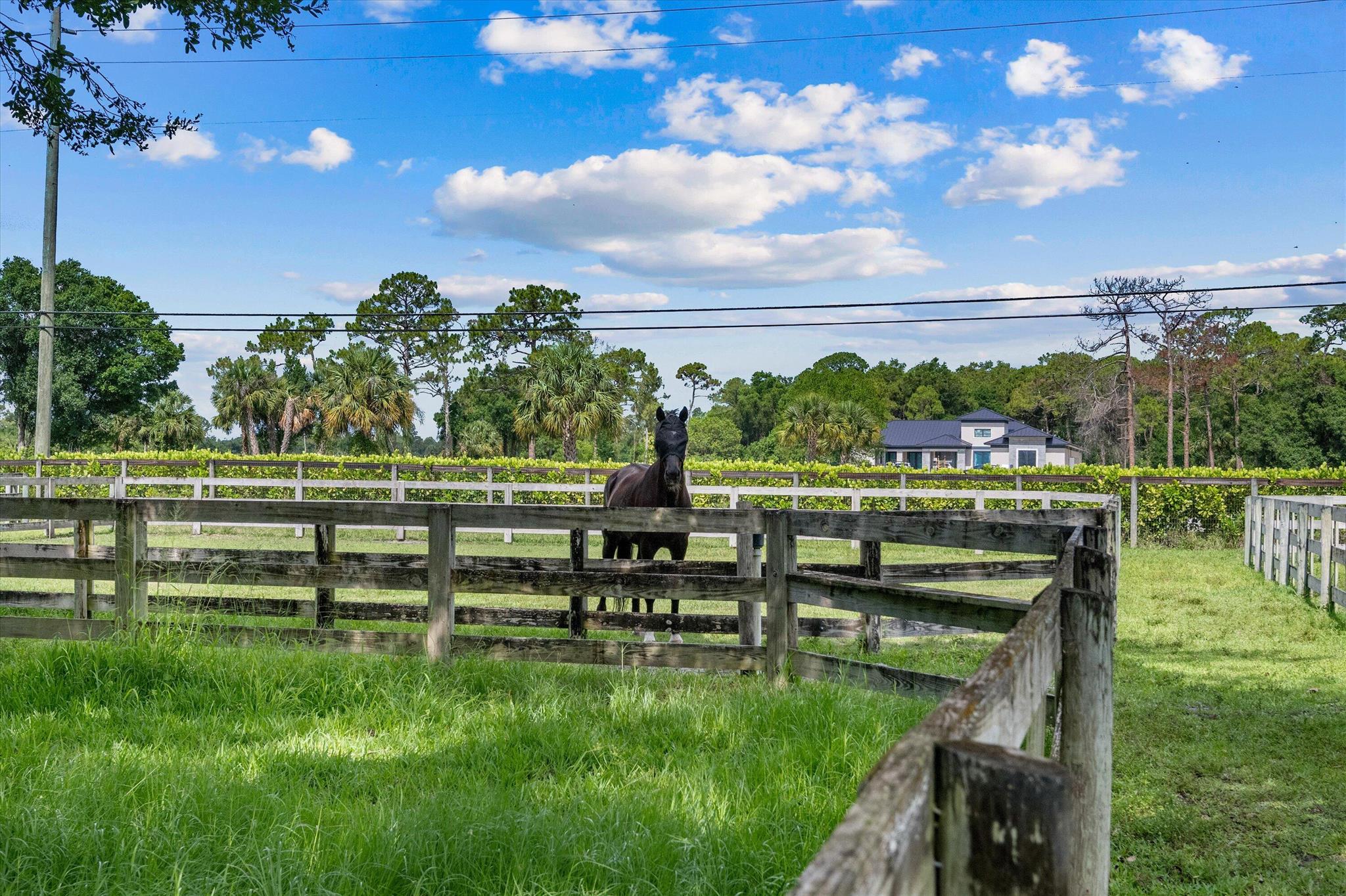 LOXAHATCHEE GROVES - Residential