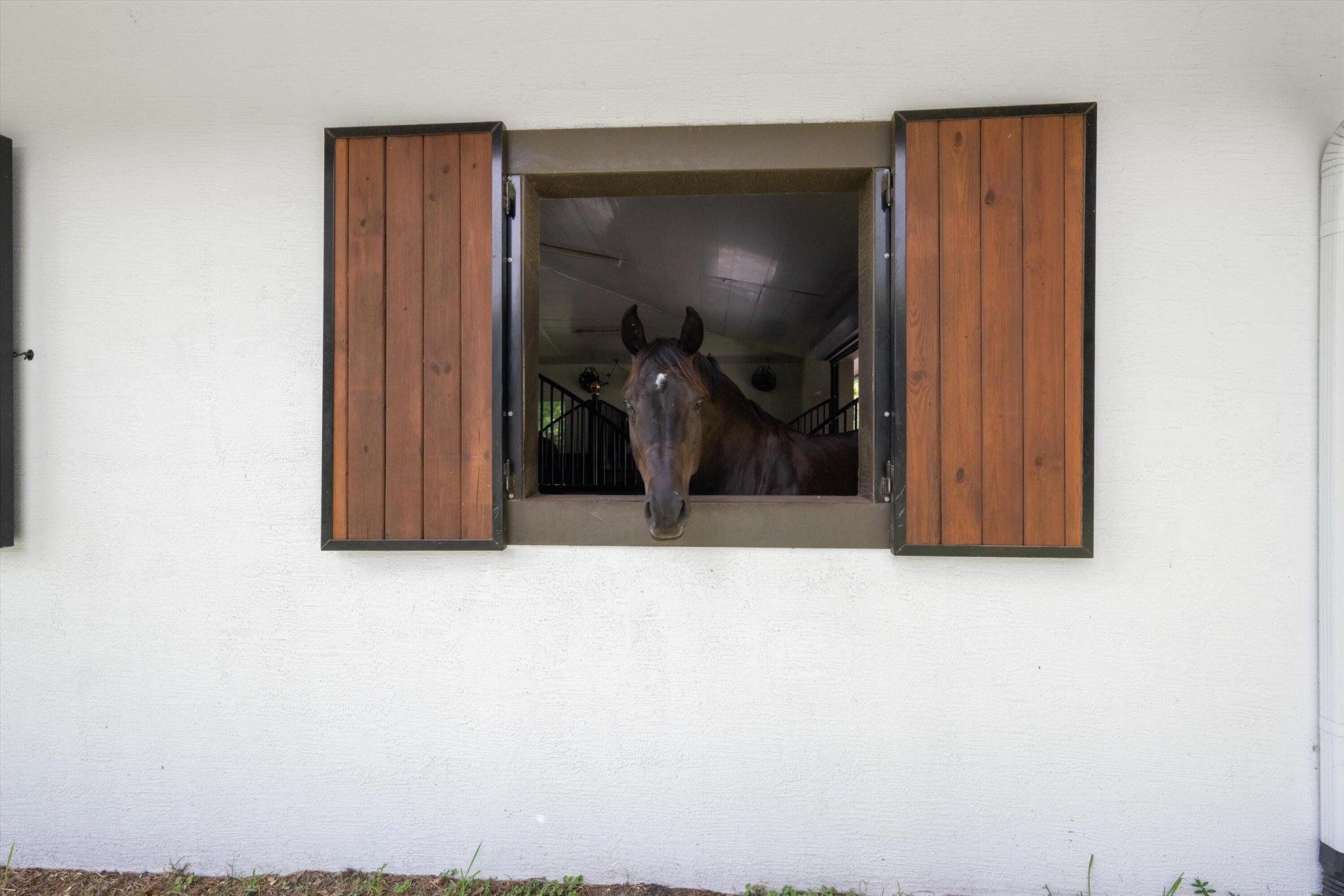 LOXAHATCHEE GROVES - Residential