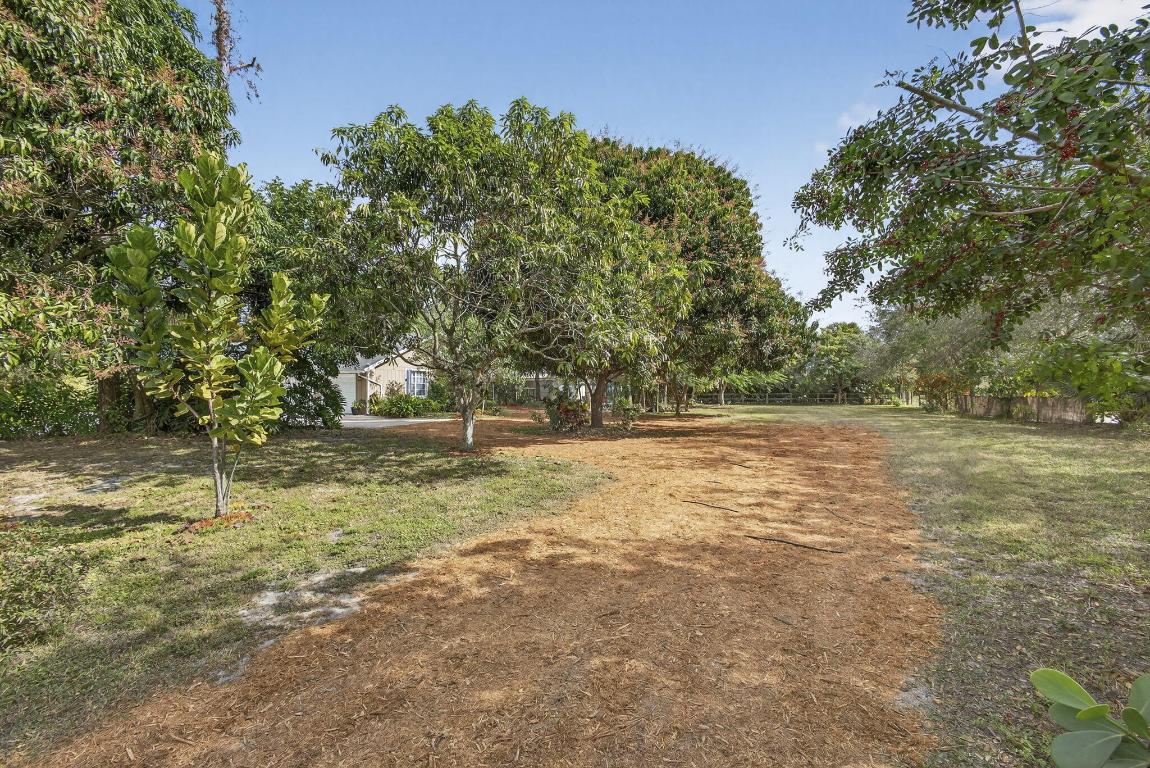 PALM BEACH RANCHETTES - Residential