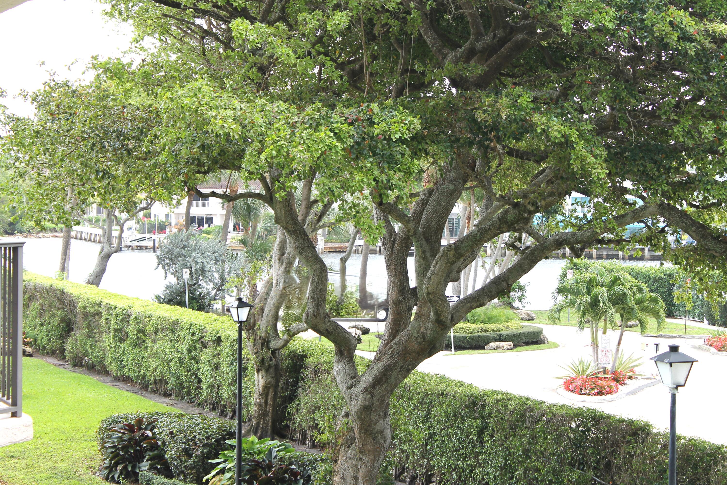 PORTA BELLA EAST - Residential